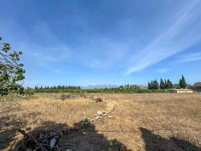Rustic property in Llubí with 257 m² built and 7,527 m² plot, 1 room — photo 1