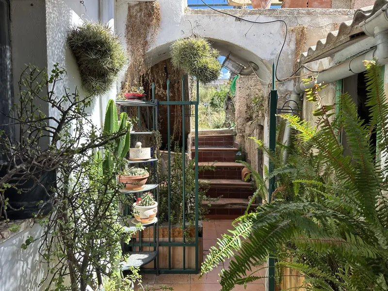 Charming village house in Felanitx with a large garden — photo 1