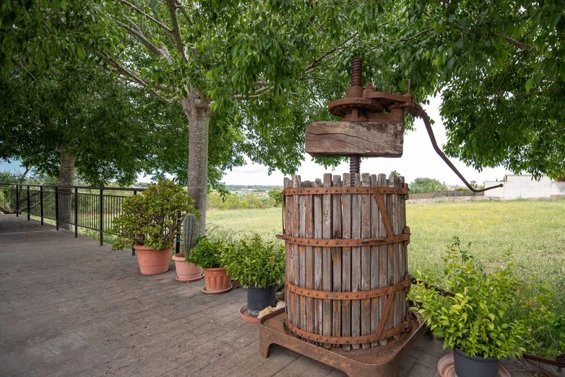 Commercial property for sale in Santa Eugènia with wine cellar — photo 9