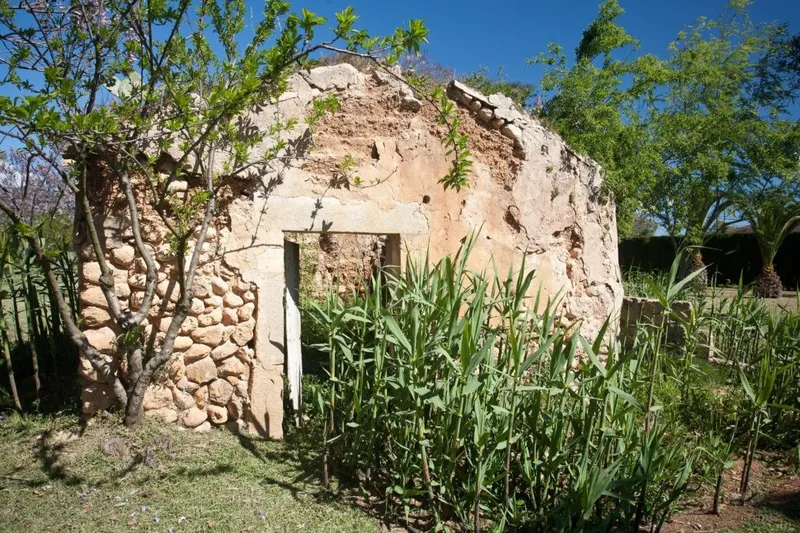 Manor house with park and spa area — photo 7