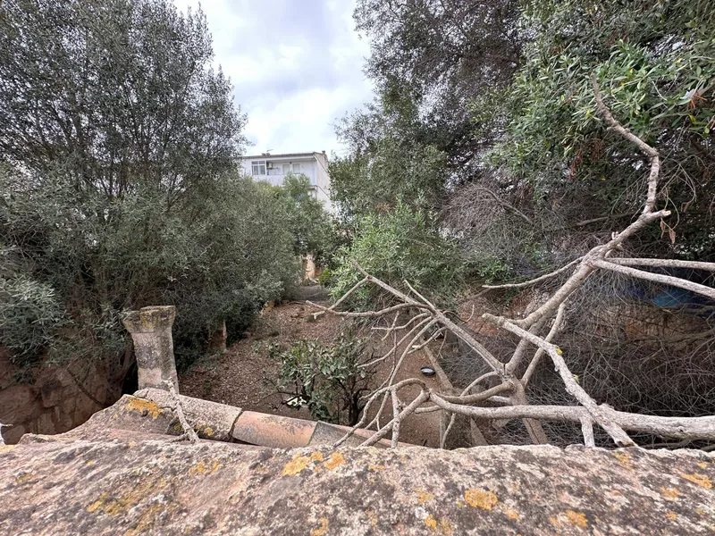 Plot in Muro — photo 5