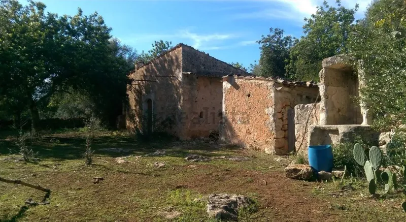 Rustic estate with tool shed — photo 2