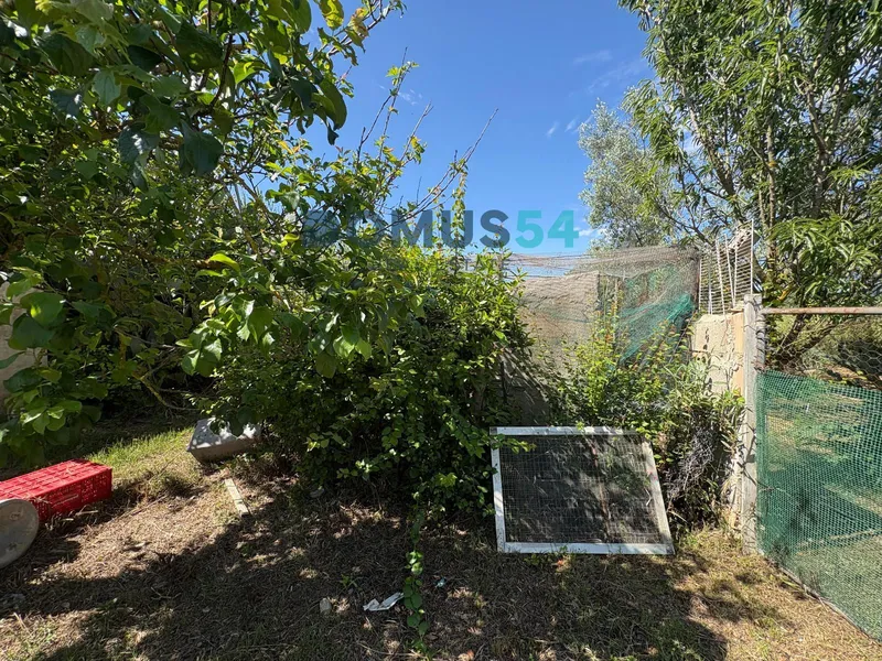 Unbuildable rural land with a shed in Sa Pobla — photo 11