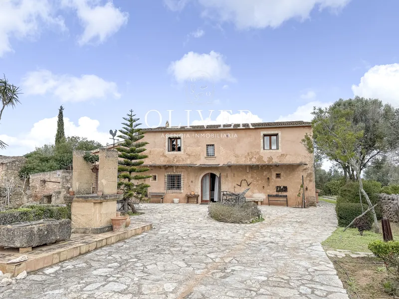 Rustic finca in Algaida — photo 2