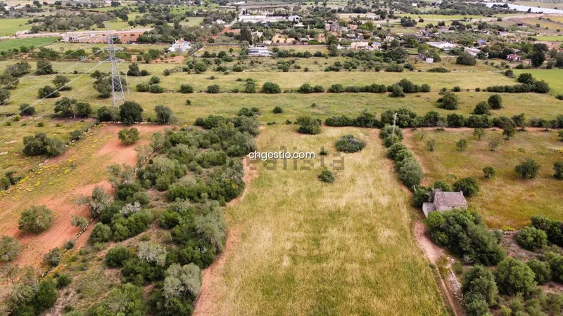 Plot in Llucmajor — photo 3