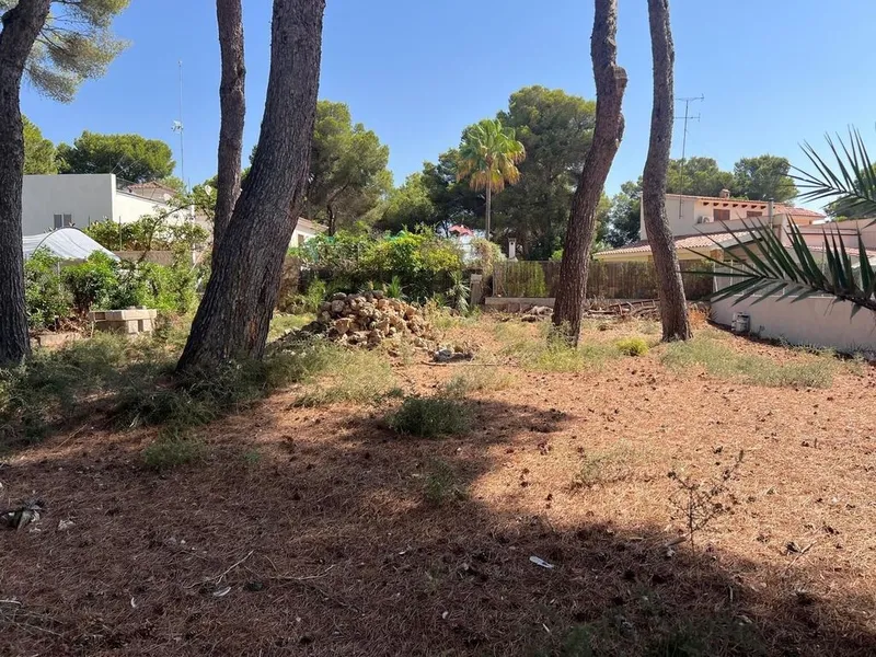 Land in Palma de Mallorca, Province of Balearic Islands — photo 2