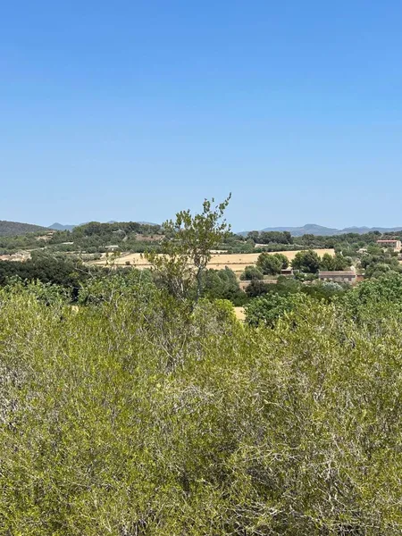 Beautiful building plot near Manacor — photo 7