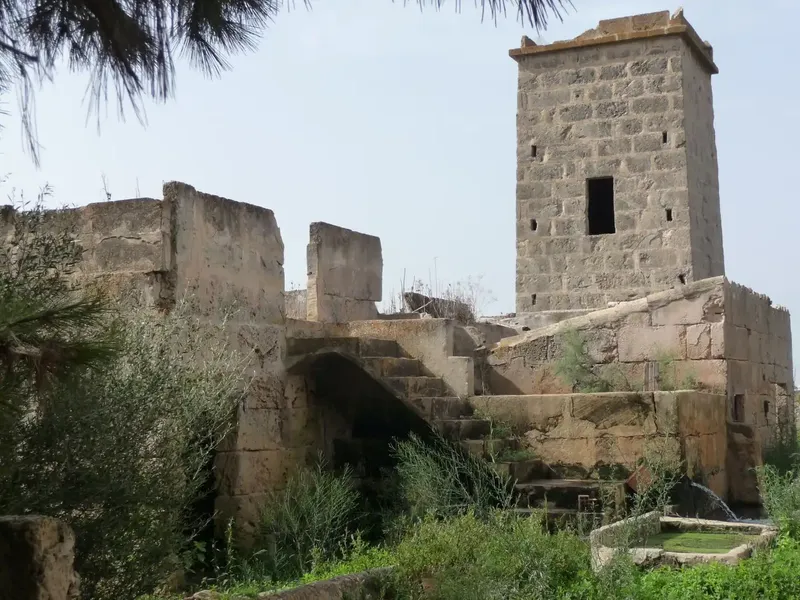 Rustic Finca in Palma with Many Possibilities, Playa de Palma Area, 2 km from the Beach and 10 km from the City Center, Possibility of Use — photo 7