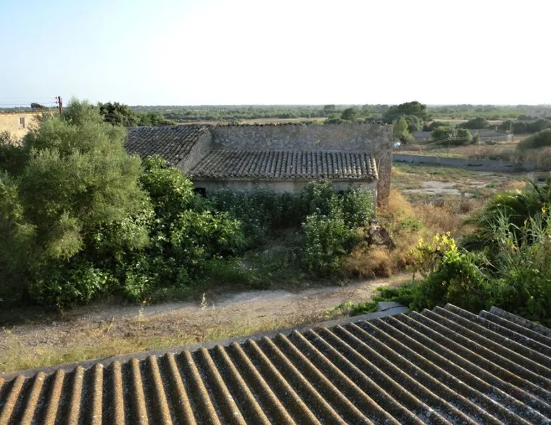 Large plot with several buildings between Campos and Llucmajor — photo 4