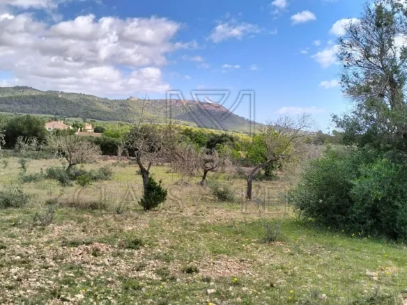 Felanitx – Fantastic plot with panoramic views — photo 2