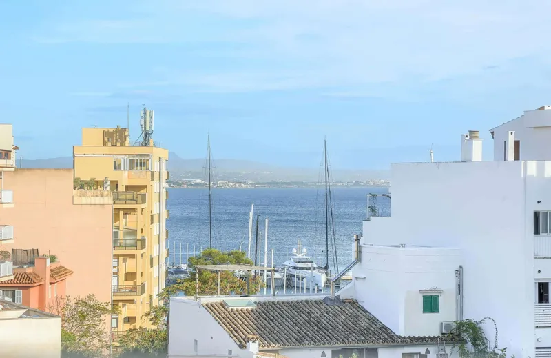 El Terreno, Palma — photo 7