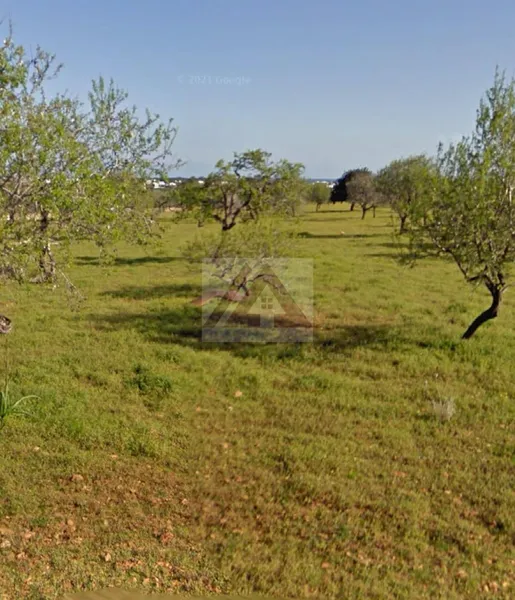 Ländlichles Land zu verkaufen in Santanyi — photo 1