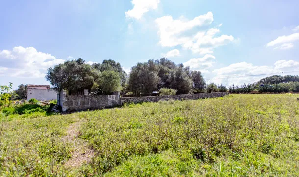 Building plot with license and fantastic views in Manacor — photo 5