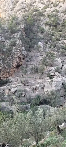 No car access! 30 min on foot. Barranc de Biniaraix, more than 100 olive trees, 19,000 m2. Real estate agencies abstain. — photo 8