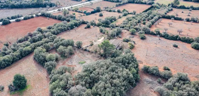 Country house to renovate in Campos with 14,000 m² plot — photo 12
