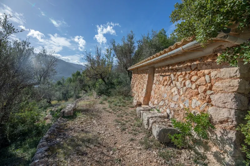 Two mountain cottages with car access in Fornalutx — photo 10
