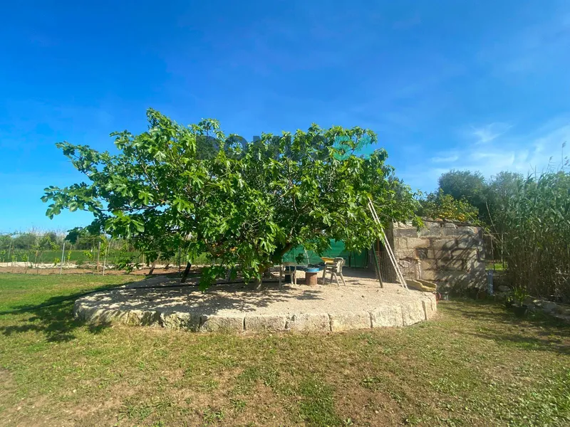 plot in Sa Pobla — photo 11