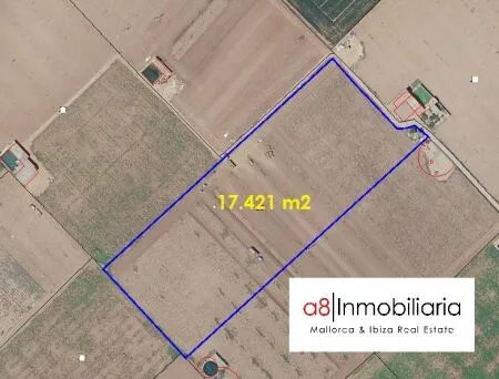 Rural Land - Sa Pobla (Ronda), Plot Surface 17421m², Distance to the Sea 10 km — photo 3