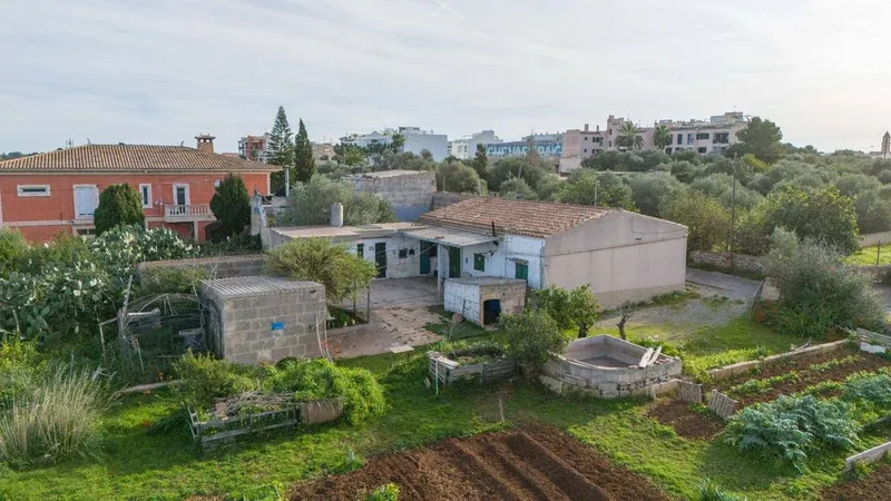 Rural or Farmhouse in Manacor, Province of Balearic Islands — photo 4