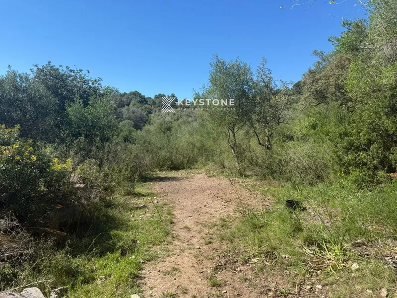 Plot — photo 11