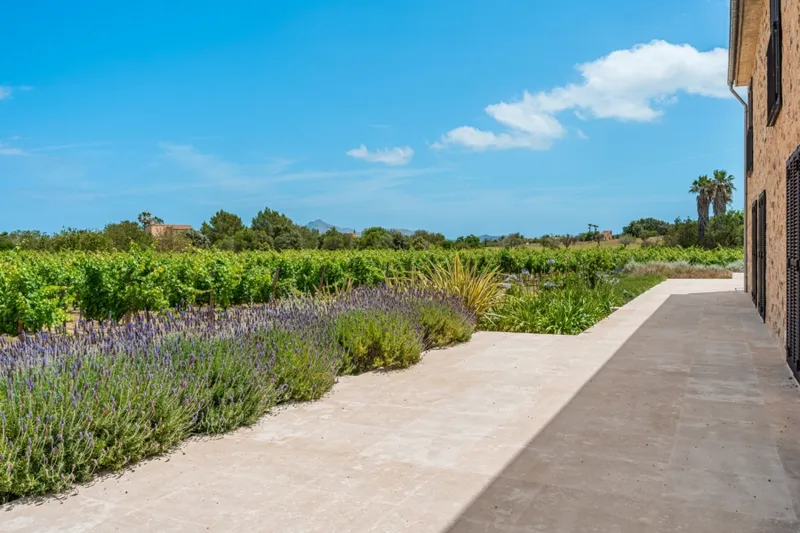 Newly completed luxury vineyard estate between Pollensa and Alcúdia — photo 4