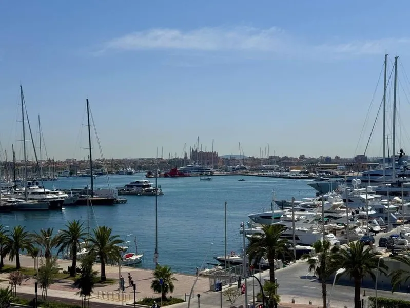 Flat / apartment for sale in Calle de la Pedrera — photo 1