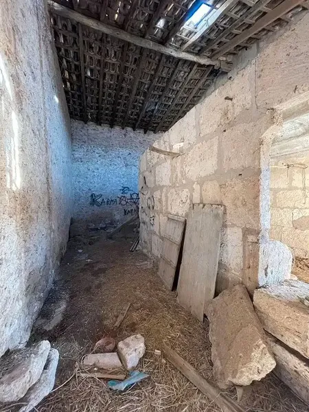 Finca to renovate, perfect for keeping animals — photo 7