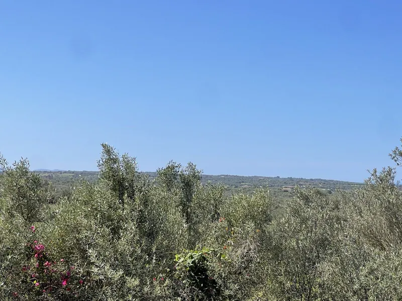 Charming Country House with Panoramic Views and Renovation Potential — photo 6