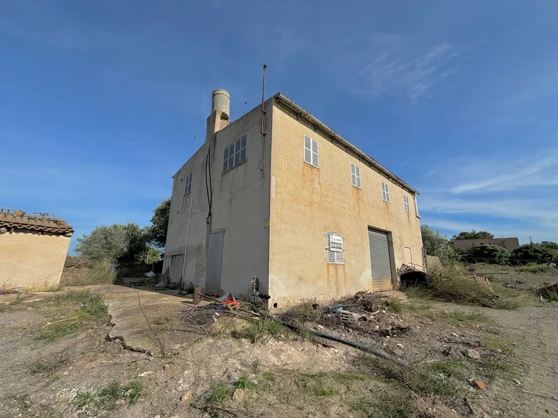 House / Chalet in Manacor — photo 6