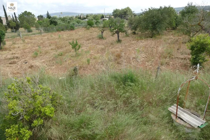 Rural or Farmhouse in Santa Maria del Camí, Province of Balearic Islands — photo 4