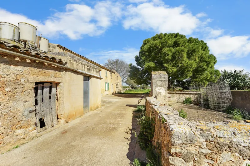 Country house with many usage options near Felanitx — photo 1