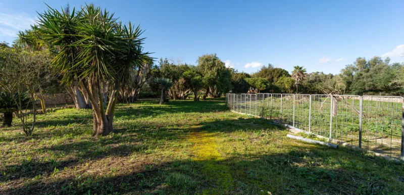 Country house in Sineu with pool and 5,400 m² of land — photo 4
