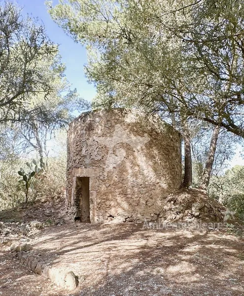 Authentic finca property with Mediterranean flair — photo 6