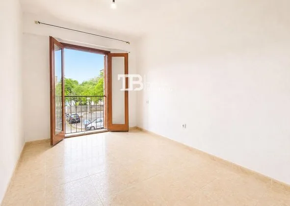 Flat / apartment in Calle de Caracas, Nou Llevant, Palma de Mallorca — photo 5
