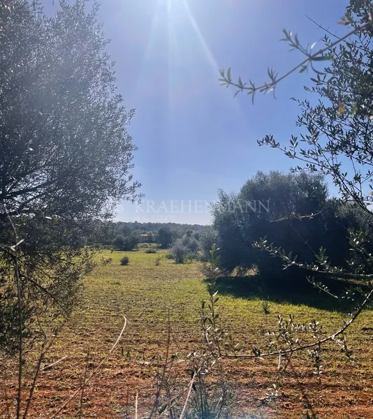 Building Plot in the Outskirts of Campos — photo 3