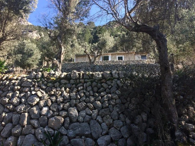 Beautiful olive grove with porch and car access in Fornalutx — photo 5
