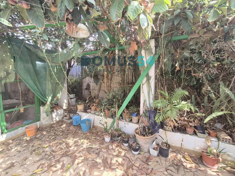House to renovate in Sineu — photo 9