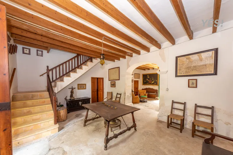 Country estate with woodland and large agricultural area in Maria de la Salud — photo 10