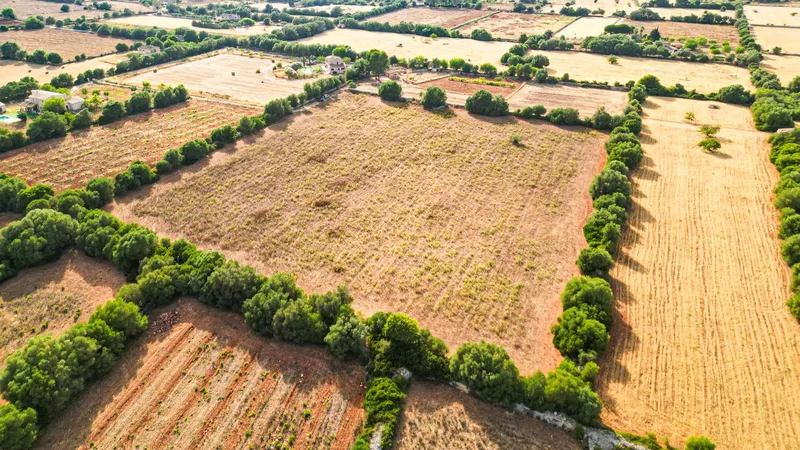 Plot in Felanitx with potential for your dream home — photo 12
