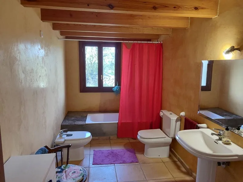 Rural or Farmhouse in Manacor, Province of Balearic Islands — photo 9