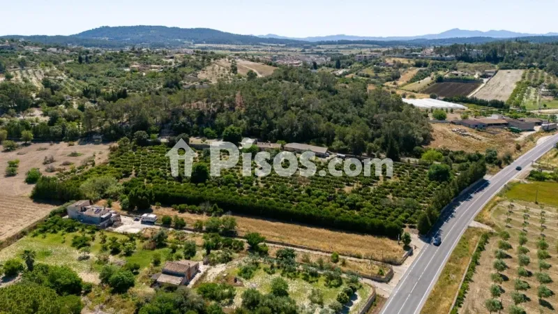 Rustic finca in Sant Joan — photo 2
