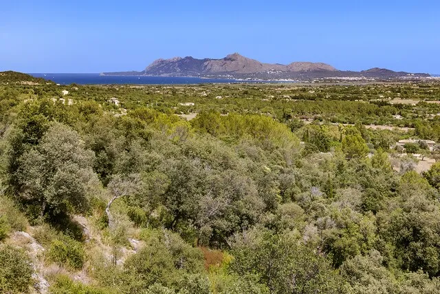Plots in a unique location for sale in Pollensa Golf, Mallorca — photo 11