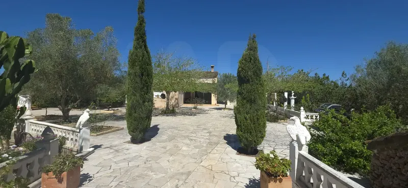 Rustic finca with pool and absolute privacy in Algaida – 7,880 m² of land — photo 8