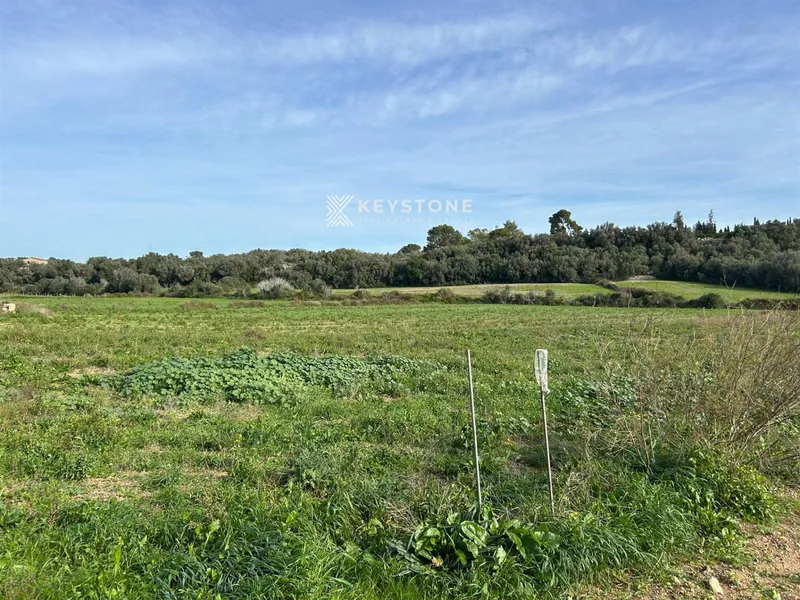 Plot — photo 9