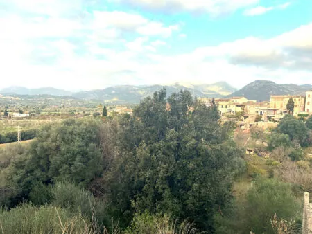 Urban plot of land - Campanet (Campanet) — photo 2