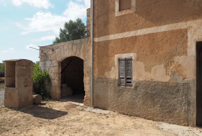 Rustic finca to renovate in San Lorenzo — photo 3