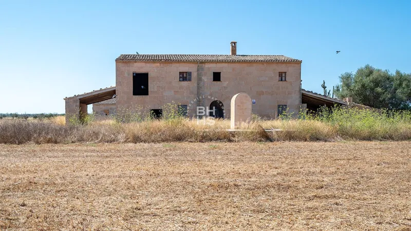 Rustic Finca for sale in Campos — photo 5