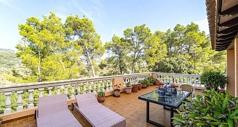 Idyllic finca in Port Andratx – Large plot with horse stables — photo 4