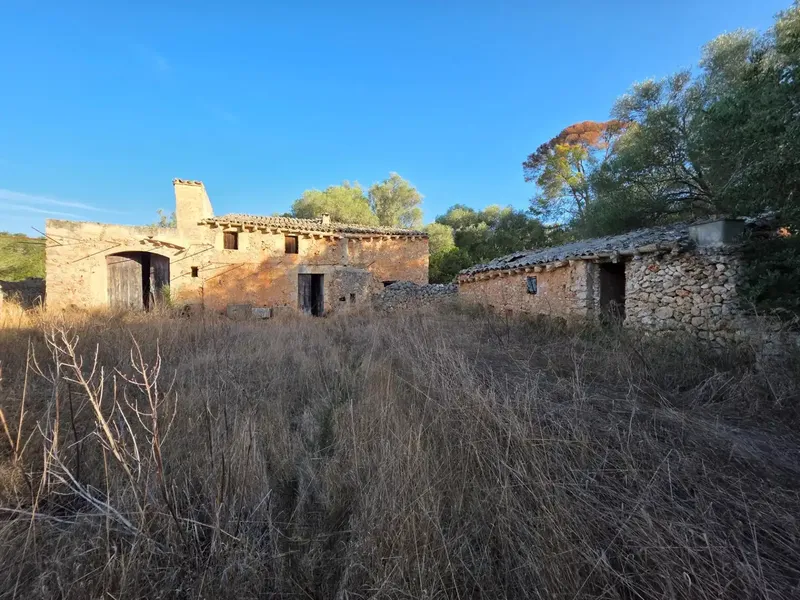 Located in an idyllic setting, surrounded by nature and a step from Costitx, we offer this rustic estate of about 36,000m2 populated with vegetation — photo 1