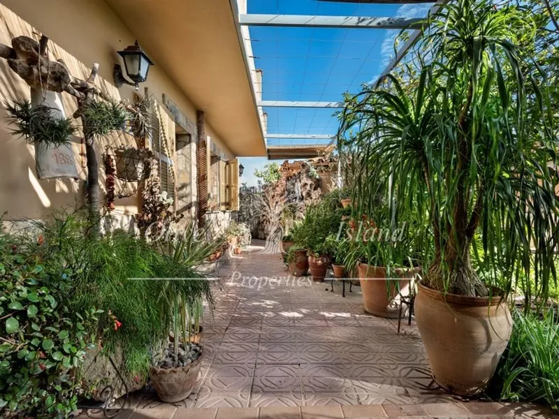Luxury home in Santa Maria del Camí, Province of Balearic Islands — photo 6